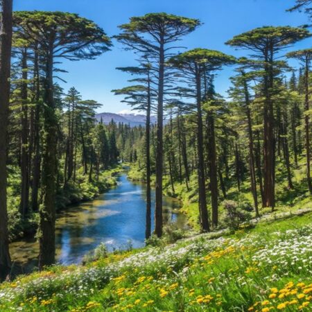 Parque Inglés – Chile